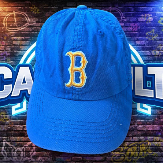 BRUINS